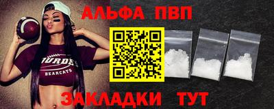 стафф Шелехов