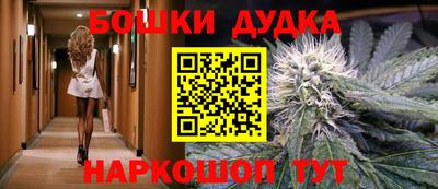 стафф Шелехов