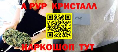 стафф Шелехов